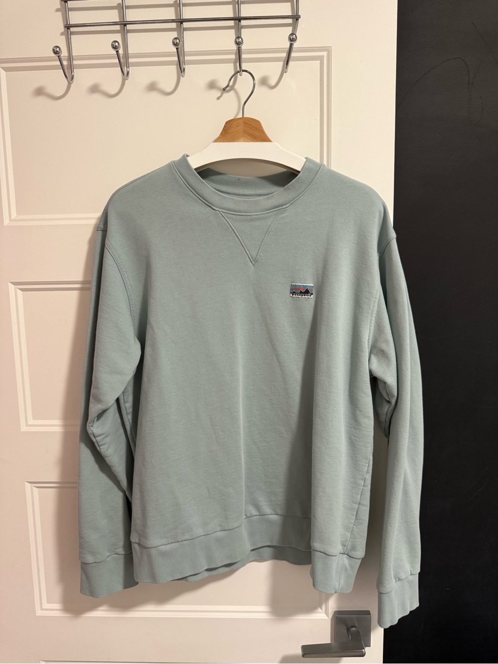 Patagonia Daily Crew Organic Cotton Sweatshirt – Men’s M – Light Blue